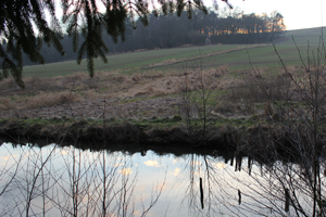 Kirsten Kötter: Foto zu Dämmerung am See (Detail, Ausschnitt), Site-specific painting, See im Taunus, 04.02.2014, ca. 17.30 - 18.30, 50° N / 8 ° O, Öl auf Leinwand, 90 x 70 cm