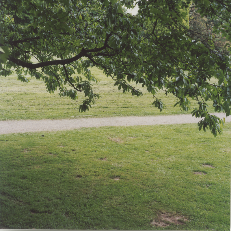 2003_baeume-rasen_park_132-2, photo print, ca. 20 × 20 cm (Kirsten Kötter)