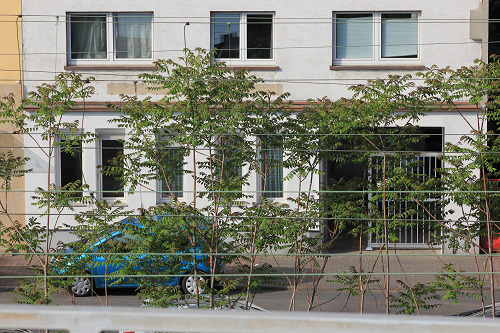 Frankfurt a. M., Kreuznacher Straße 48, 2018-05, Wohnung, Foto: Kirsten Kötter