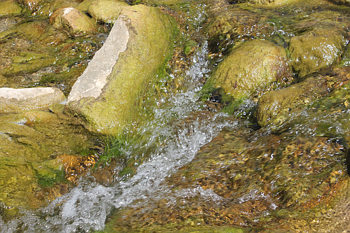 2015-09-01 Under the bridge on the road between Pietrapaola Marina and Paese (Kirsten Kötter)