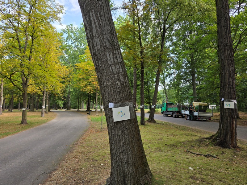 2025-08-21_malathon-chemnitz_35_34_baeume_20250821_094606 (Kirsten Kötter)