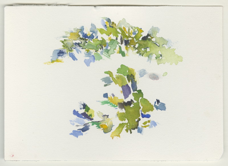 2022-02-23_fischteich_1217, watercolour, 12 × 17 cm (Kirsten Kötter)