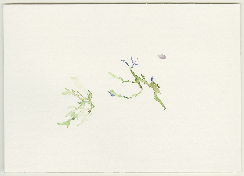 2022-05-31_pietrapaola_landschaft, watercolour, 17 × 24 cm (Kirsten Kötter)